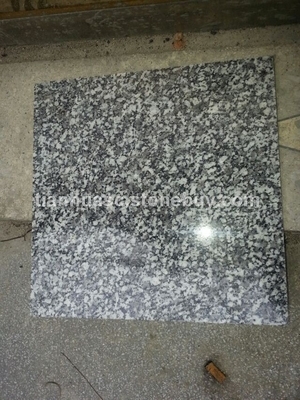 蓝冰花荒料产品介绍 - 湖南天华石材优质花岗岩